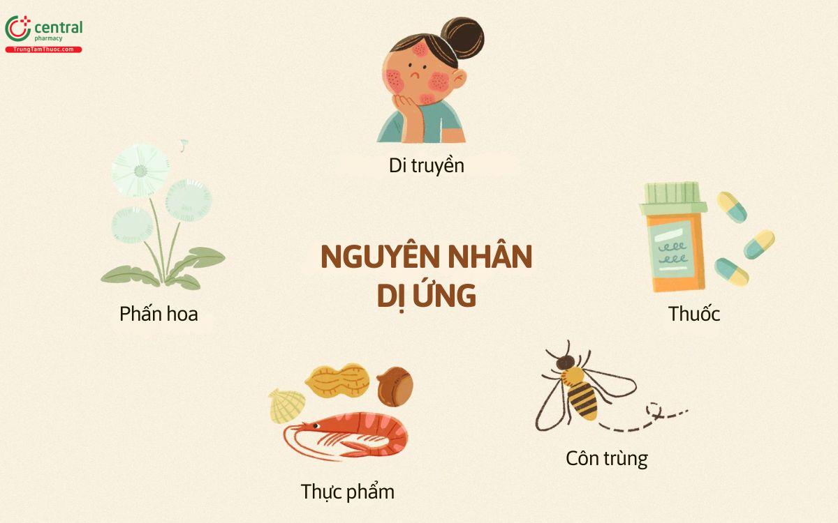 Nguyên nhân gây ra dị ứng