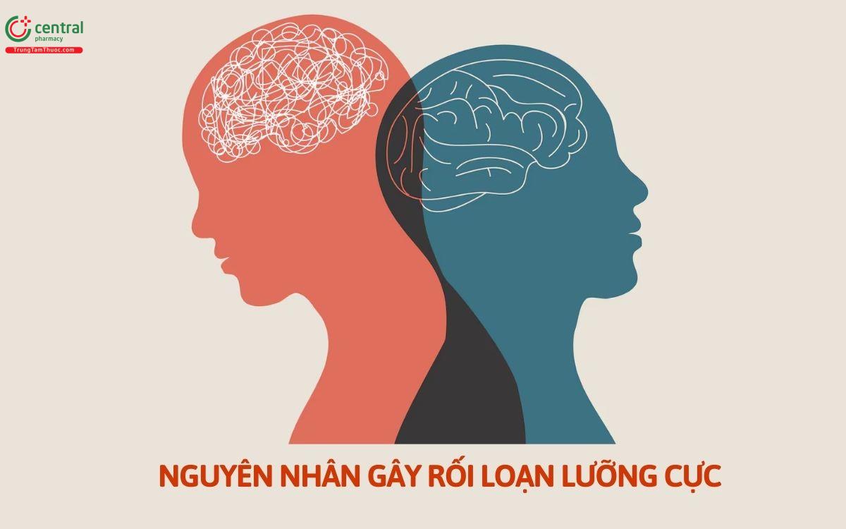 Nguyên nhân gây rối loạn lưỡng cực