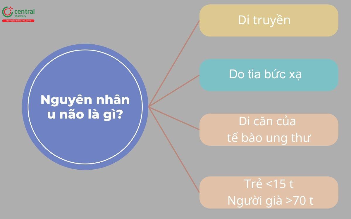 Nguyên nhân u não