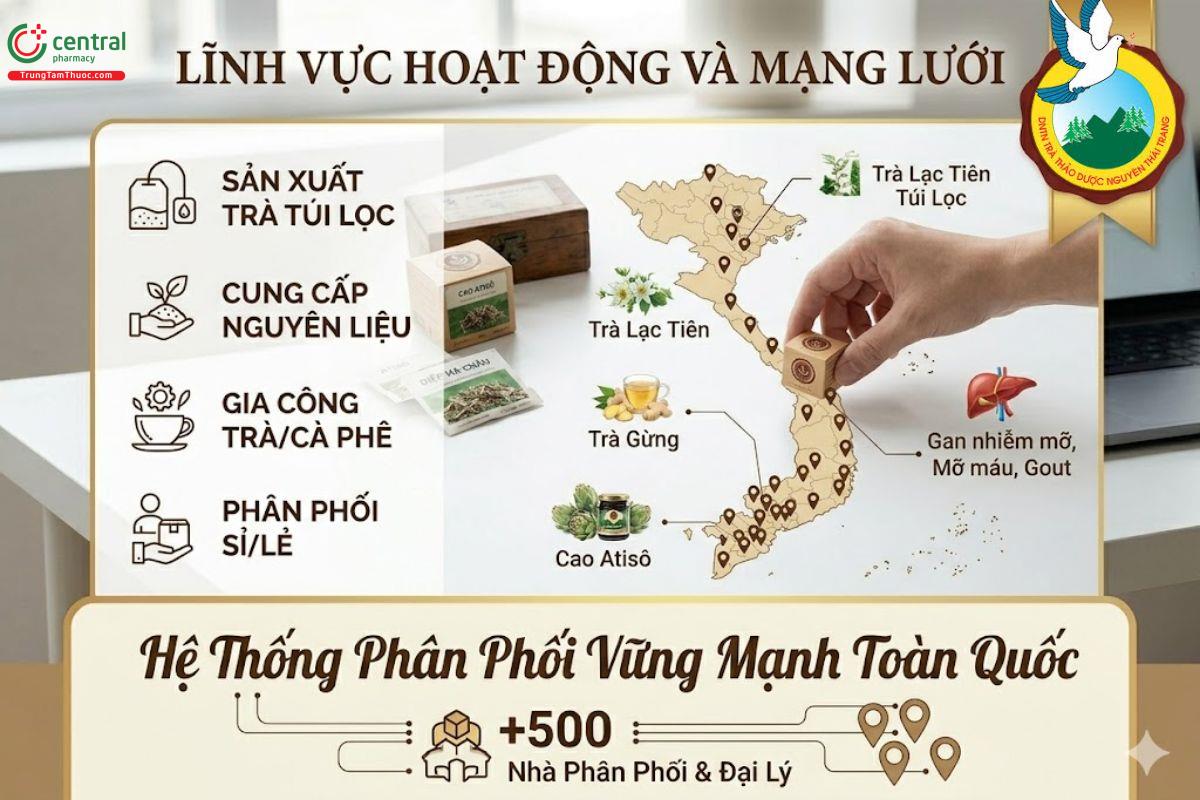 Lĩnh vực hoạt động và mạng lưới phân phối