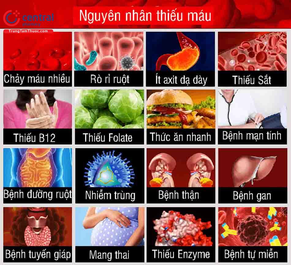 Nguyên nhân gây thiếu máu