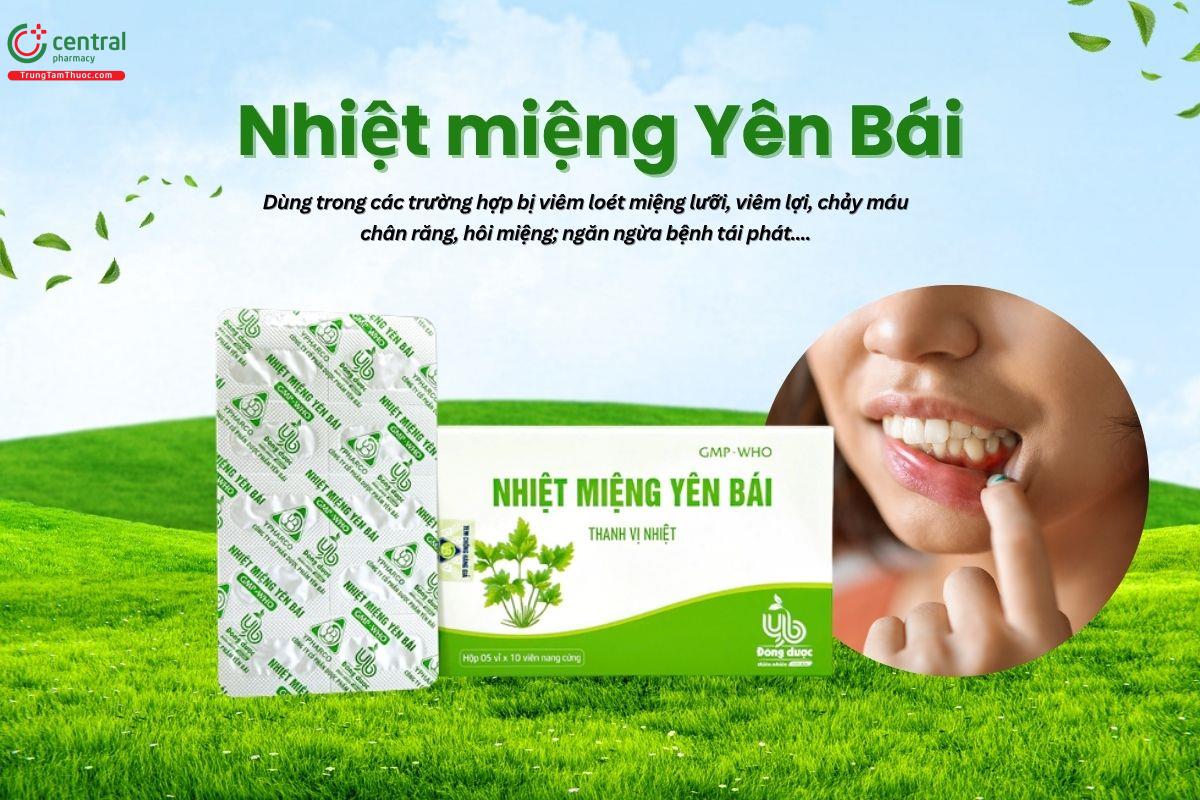 Thuốc Nhiệt miệng Yên Bái thanh vị nhiệt, trị chứng viêm lợi, nhiệt miệng