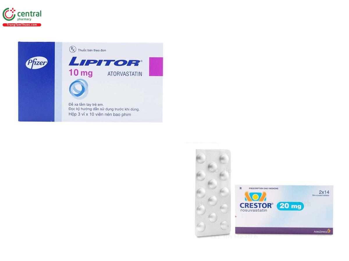 Thuốc hạ lipid máu Statin