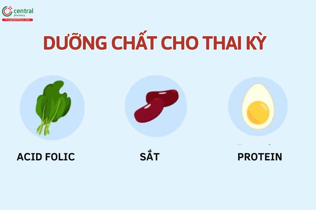 Dưỡng chất cần bổ sung trong 3 tháng đầu