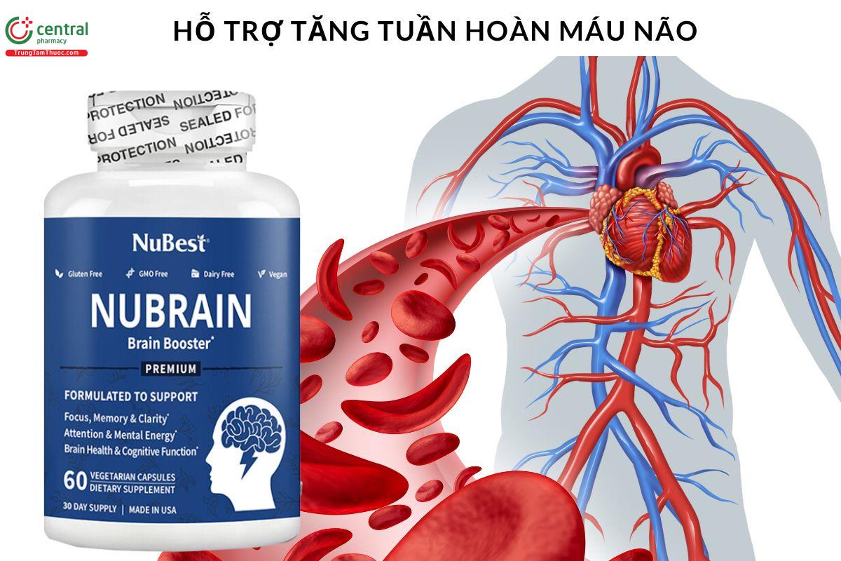 Công dụng viên uống Nubrain