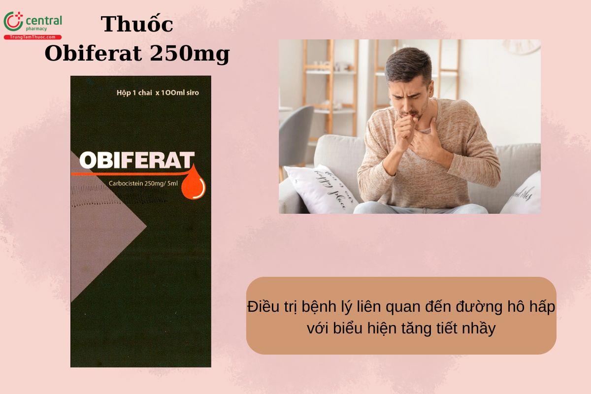Chỉ định của thuốc Obiferat 250mg
