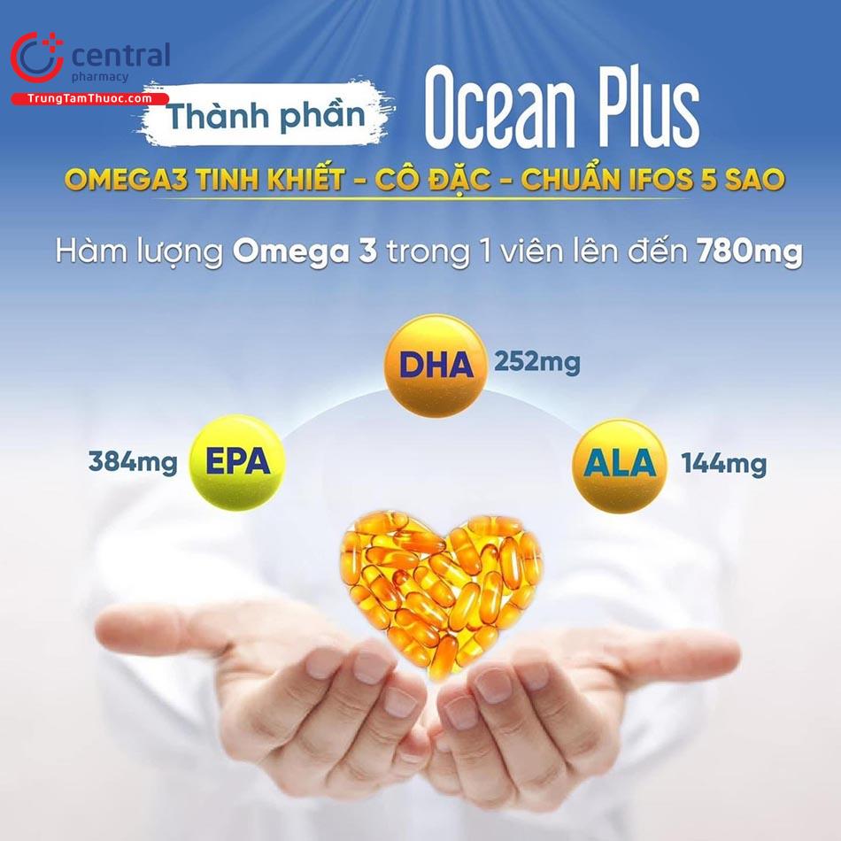 ocean plus