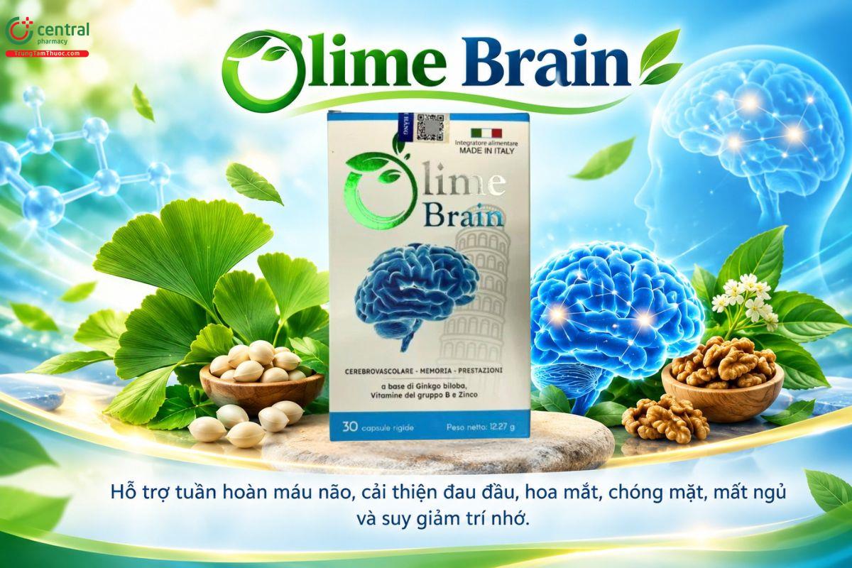Olime Brain hỗ trợ tuần hoàn máu não, giảm đau đầu, hoa mắt, chóng mặt, mất ngủ 