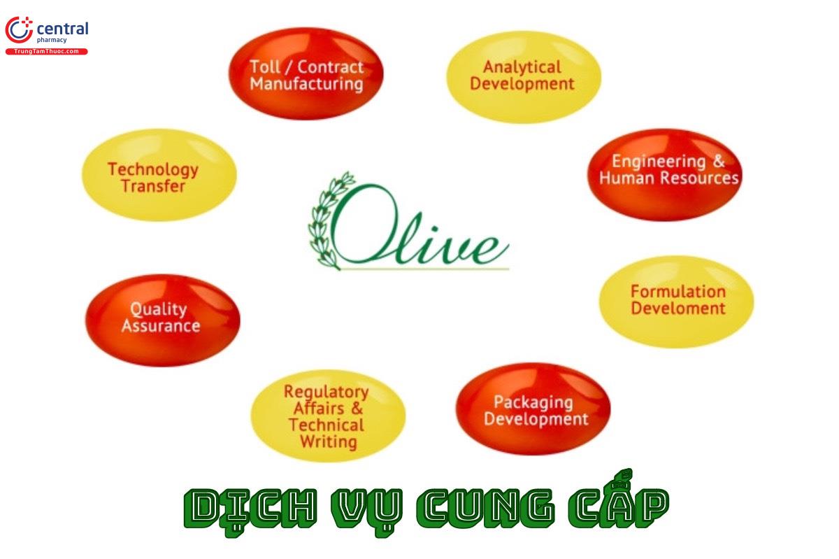 Dịch vụ Olive Healthcare cung cấp