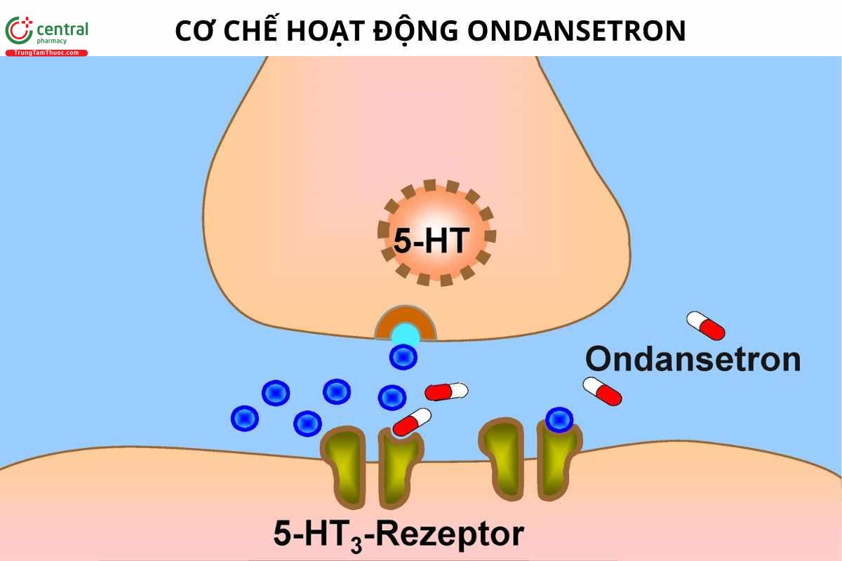 Cơ chế của ondansetron