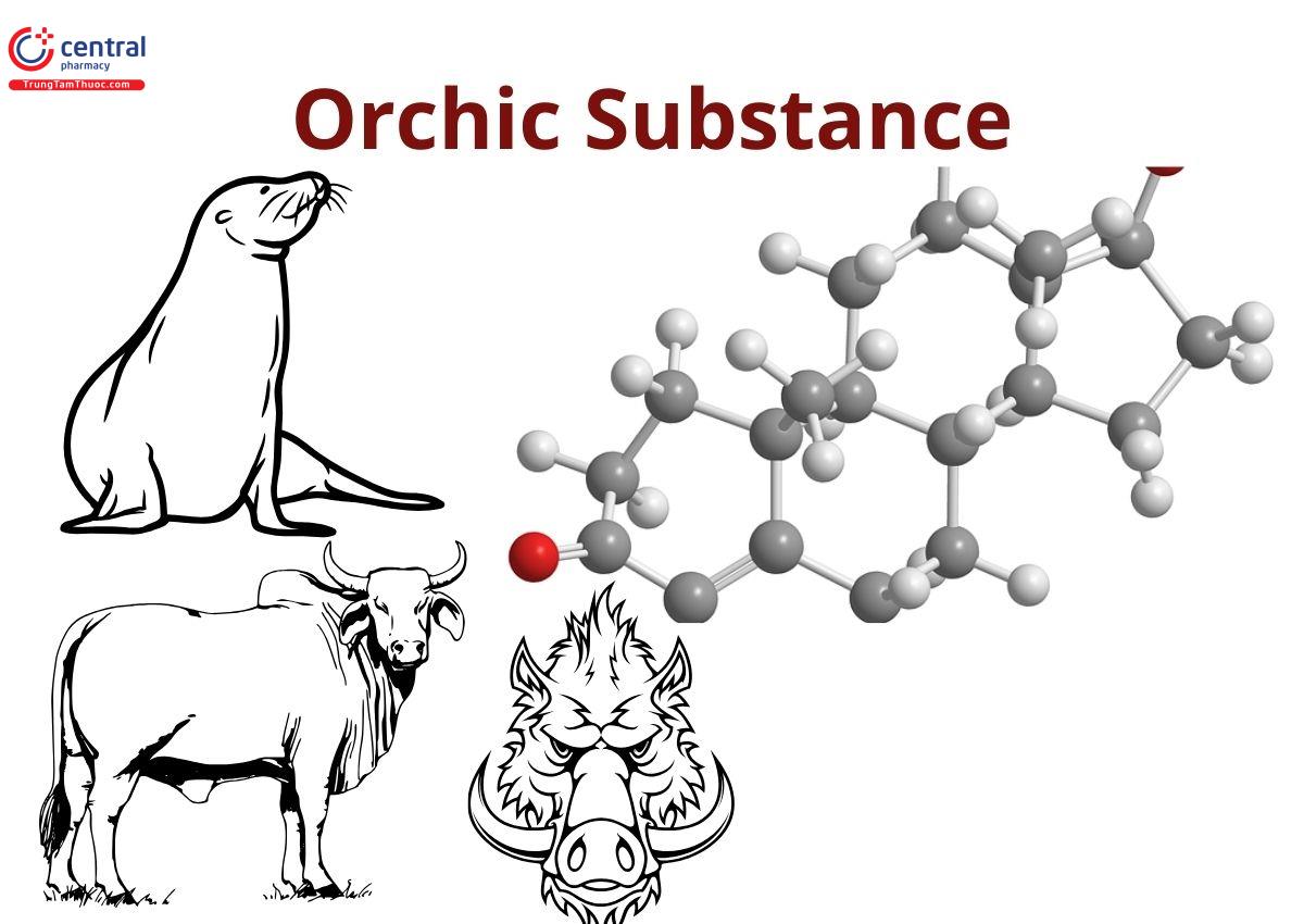 Orchic Substance