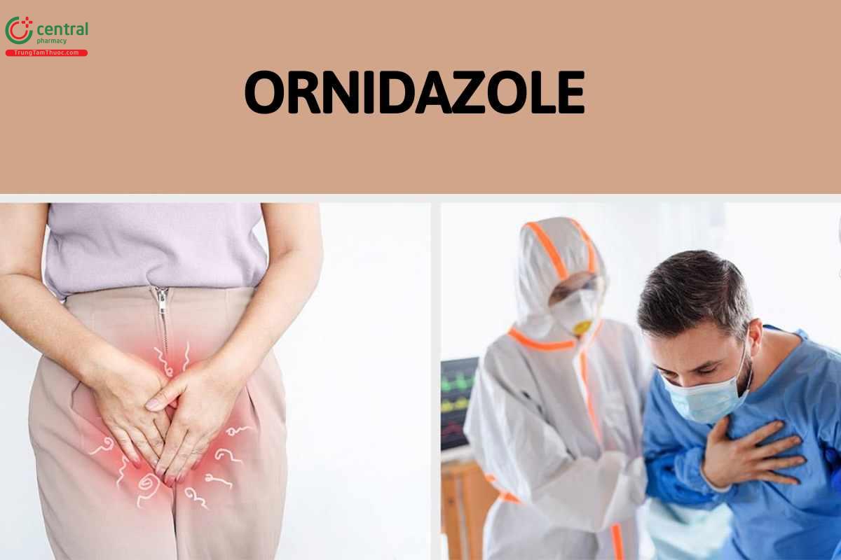 Ornidazole- kháng sinh nhóm 5-nitroimidazol