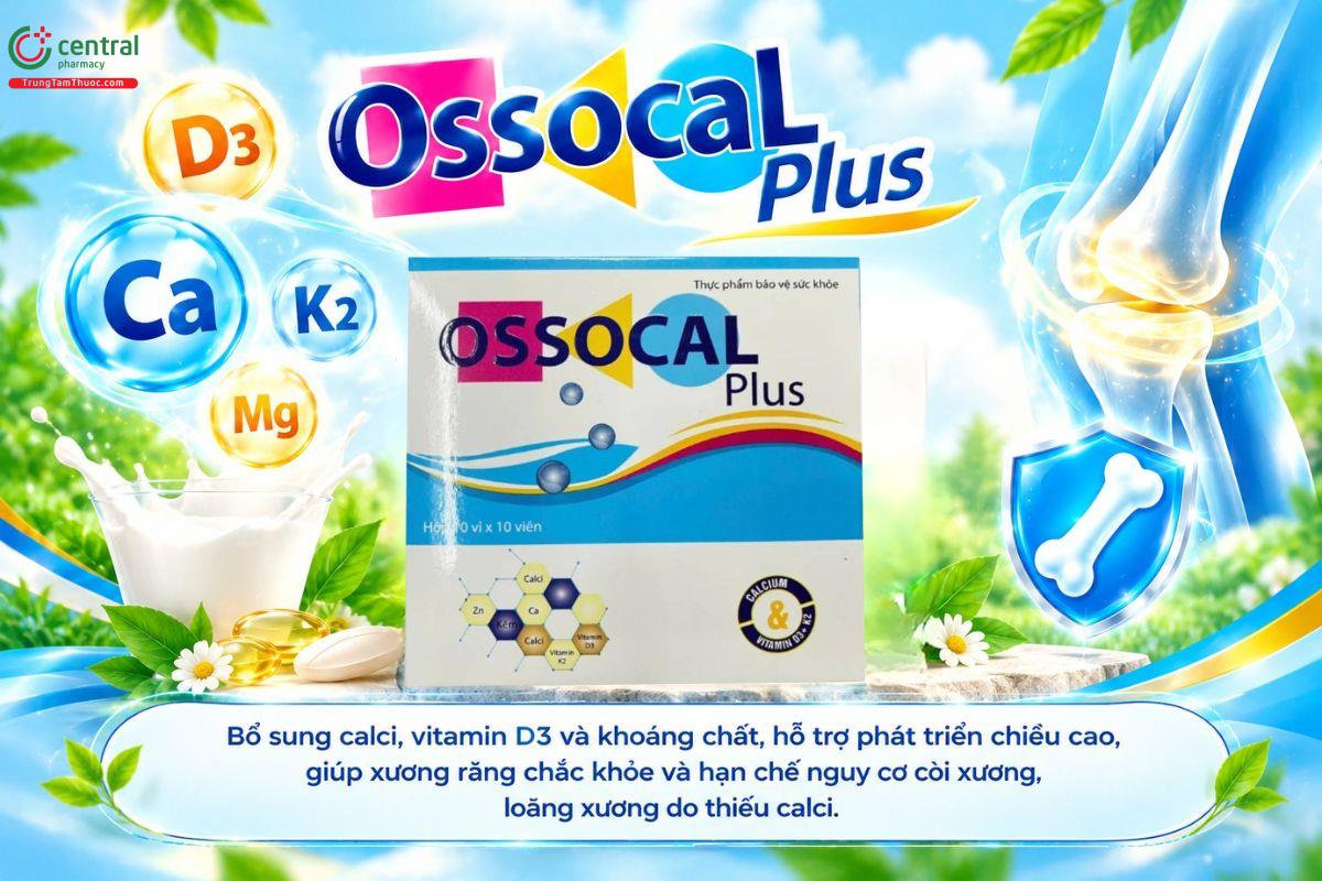 Ossocal Plus bổ sung calci và vitamin D3, K2 hỗ trợ chăm sóc sức khỏe xương 