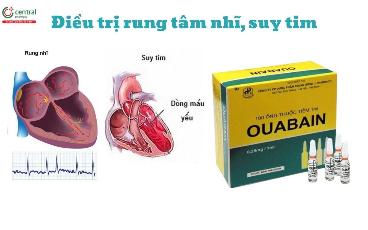 Chỉ định của Ouabain