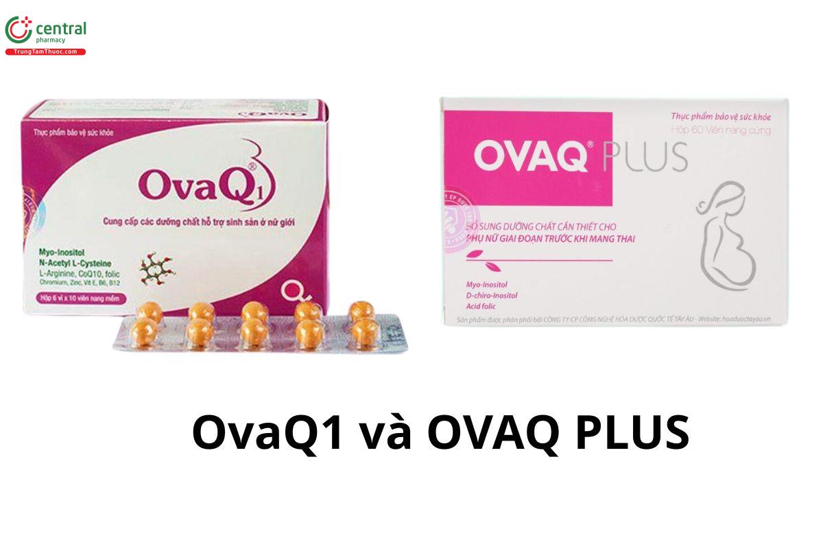 OvaQ1 và Ovaq Plus