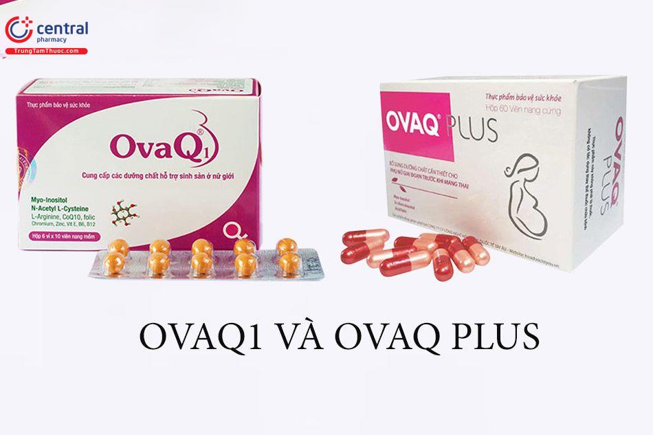 OvaQ1 và Ovaq Plus