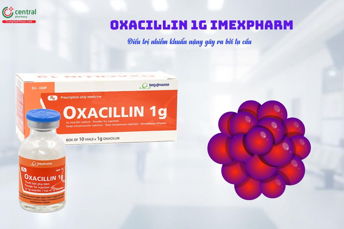  Thuốc Oxacillin 1g Imexpharm trị nhiễm khuẩn nặng do tụ cầu