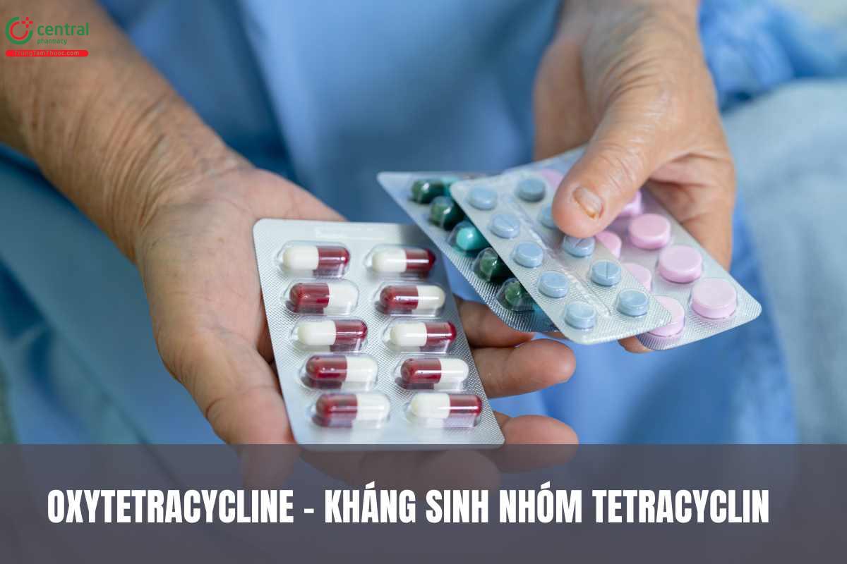 Chỉ định của Oxytetracycline