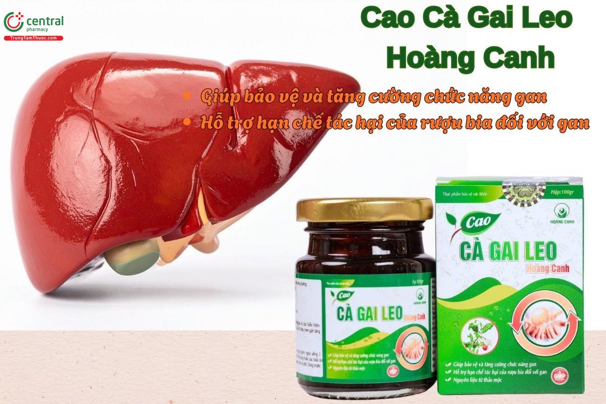 Cao Cà Gai Leo Hoàng Canh giúp bảo vệ gan, giảm tác hại của rượu bia đối với gan