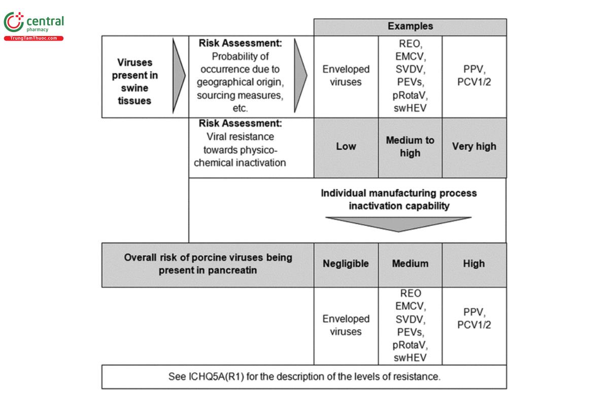 Figure 2. Example of a risk-assessment approach to virus identication for the test panel.