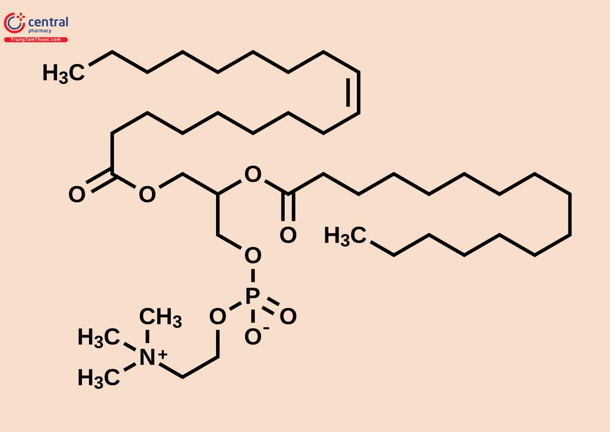 Công thức hóa học của Phosphatidyl Choline (PC)