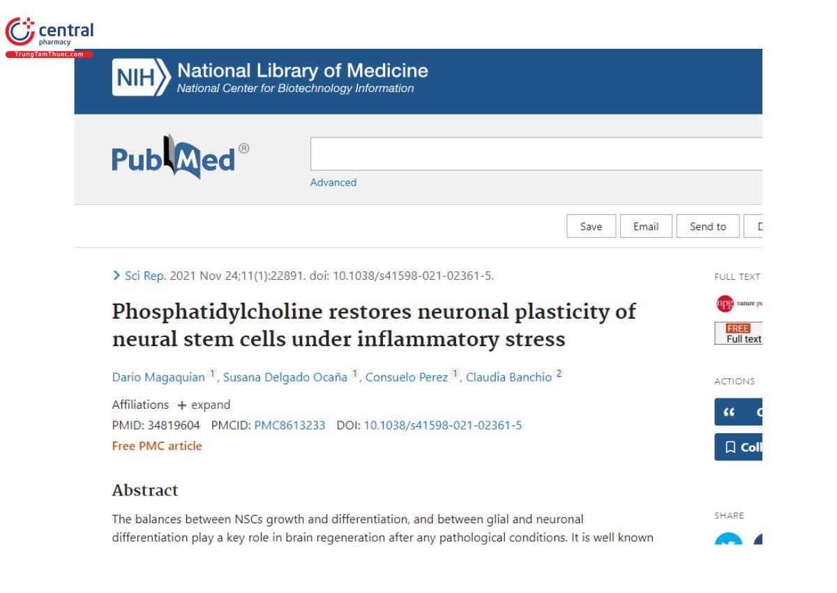 Nghiên cứu: hosphatidylcholine restores neuronal plasticity of neural stem cells under inflammatory stress