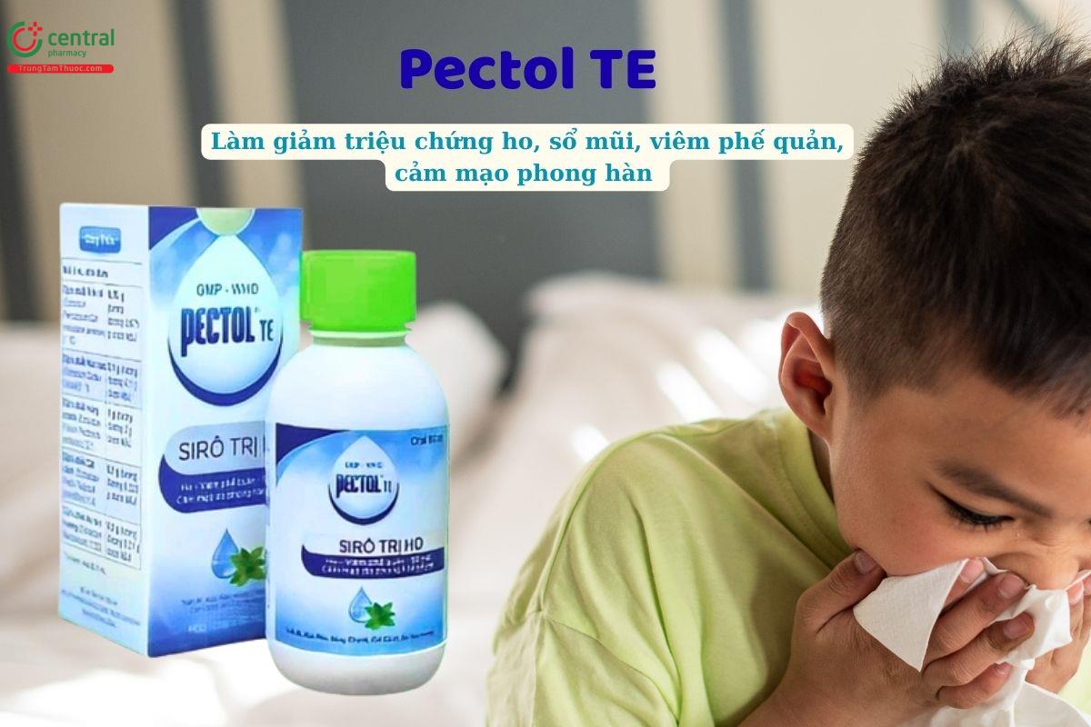 Thuốc Pectol TE - Siro trị ho, viêm phế quản, cảm mạo phong hàn