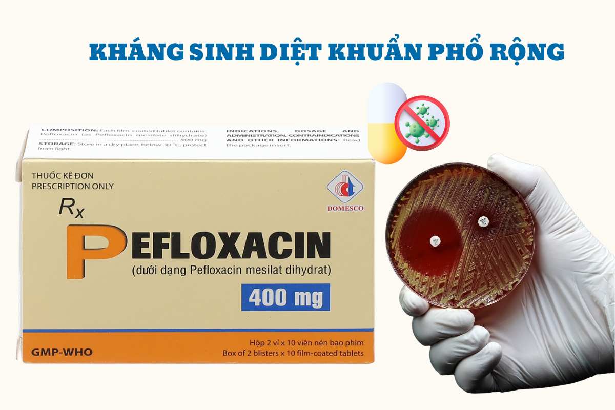 Chỉ định của Thuốc Pefloxacin 400mg