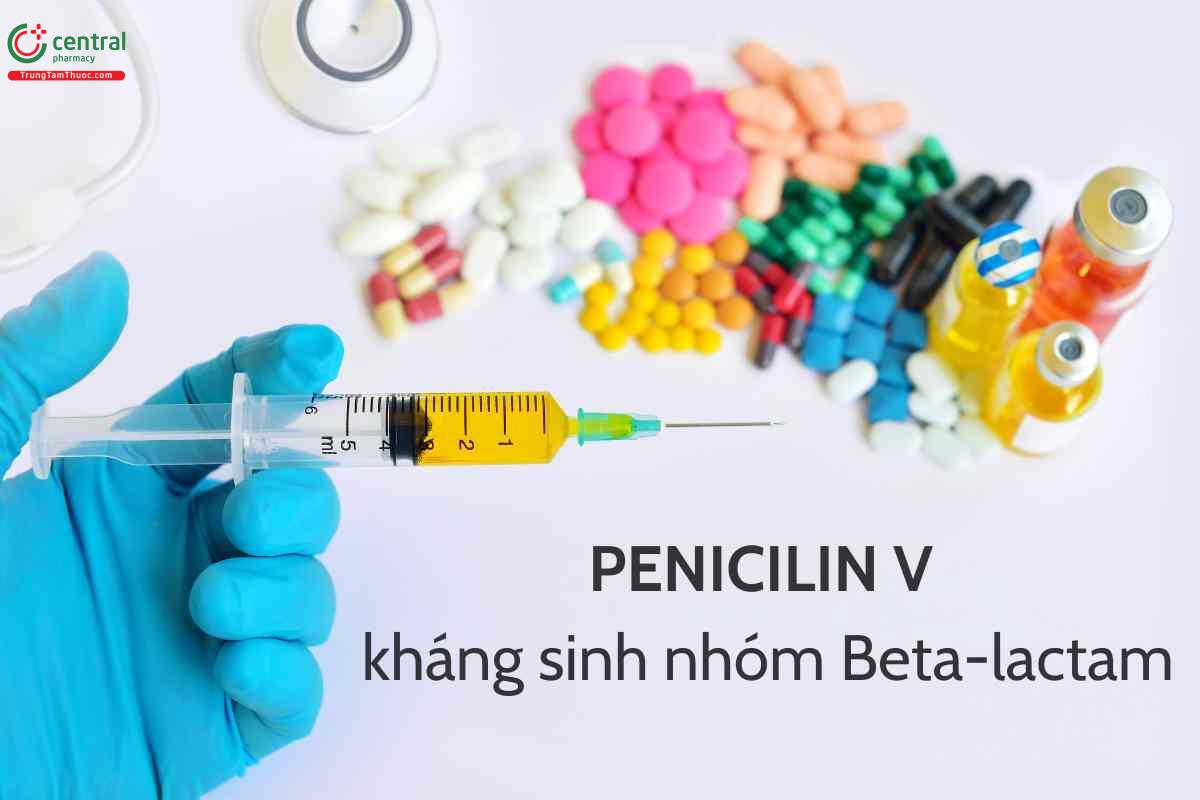 Chỉ định của penicillin V