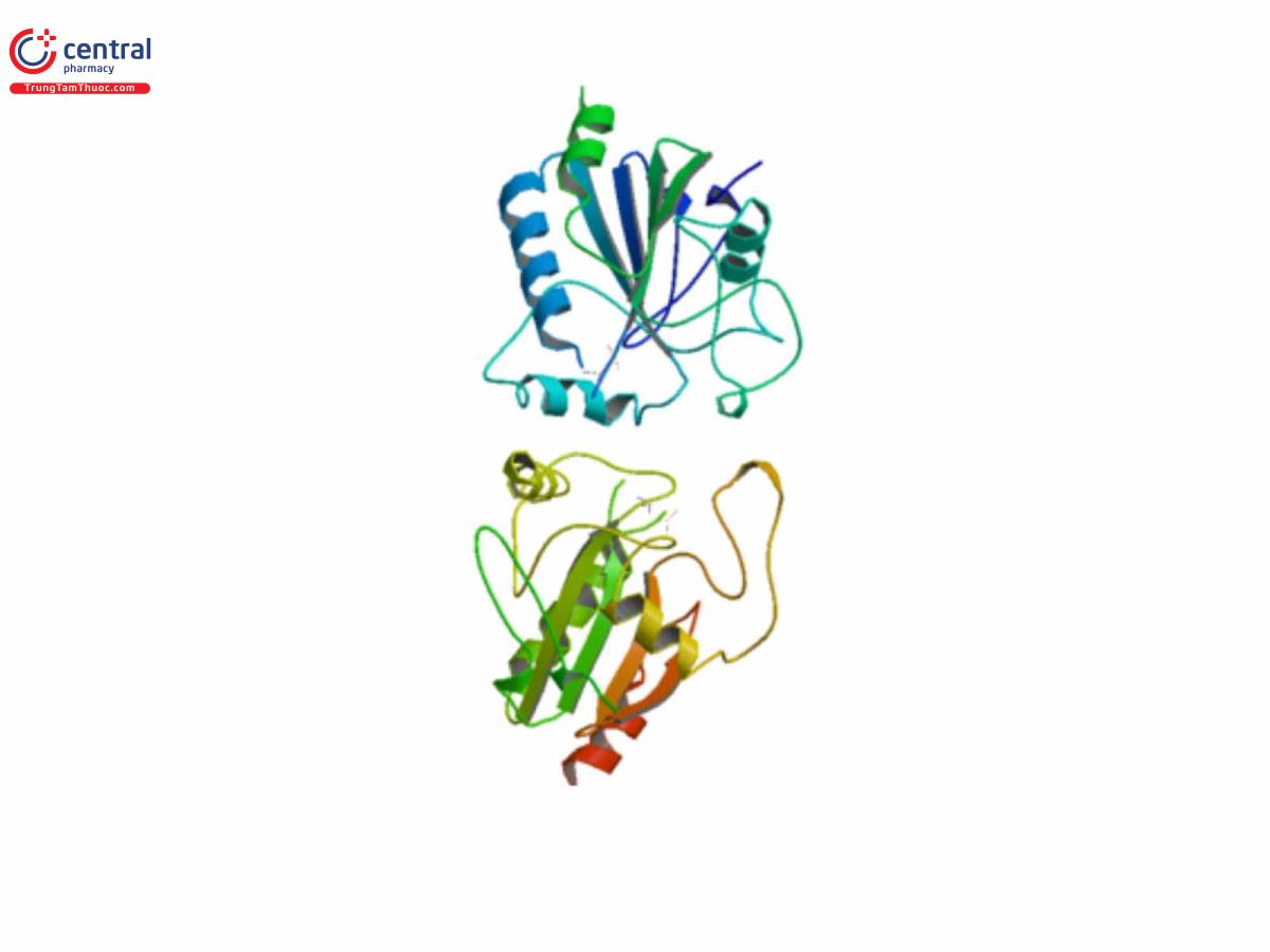 Enzyme peroxidase là gì? Khám phá tầm quan trọng và ứng dụng trong cuộc sống