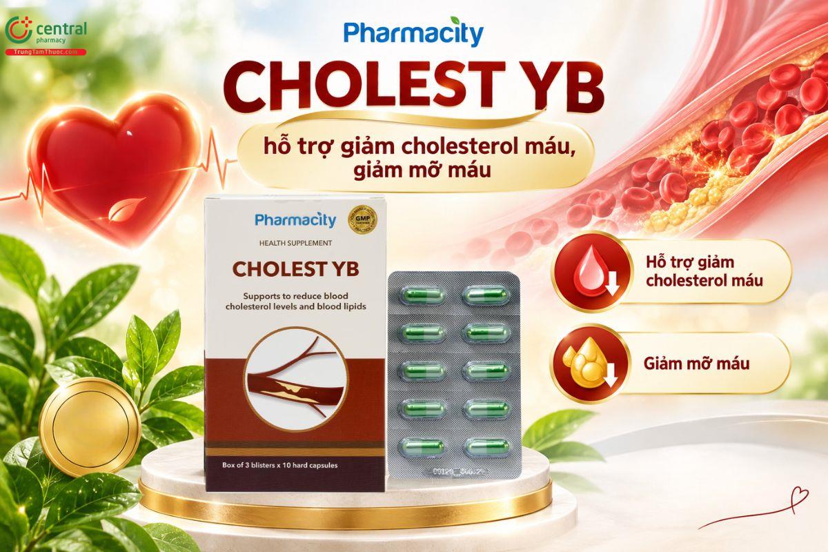 Pharmacity Cholest YB hỗ trợ giảm cholesterol và cải thiện tình trạng mỡ máu