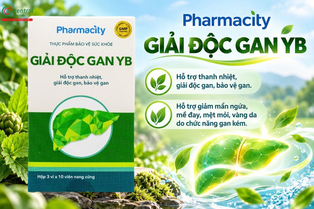 Pharmacity Giải Độc Gan YB hỗ trợ thanh nhiệt, giải độc và bảo vệ gan 