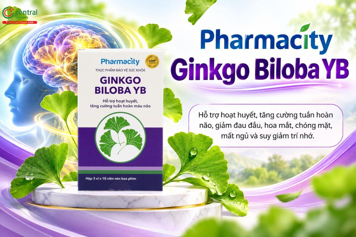 Pharmacity Ginkgo Biloba YB giúp hỗ trợ tuần hoàn não và duy trì khả năng ghi nhớ