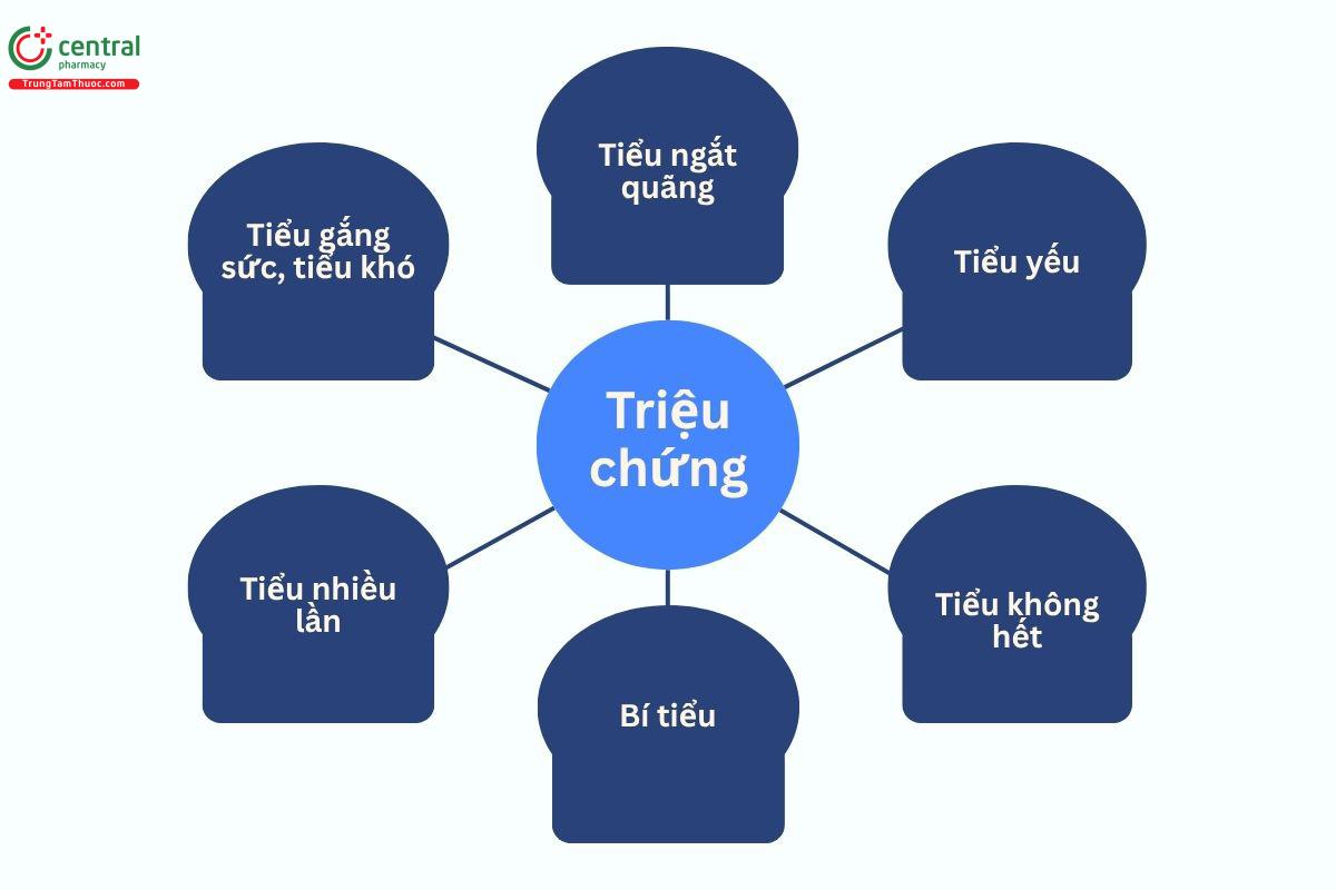 Biểu hiện của bệnh tăng sinh lành tính tuyến tiền liệt