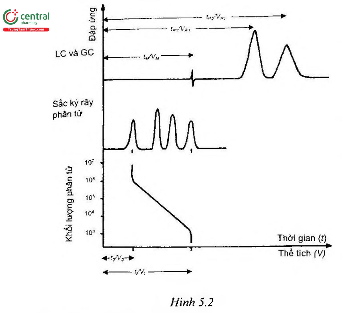 Hình 5.2