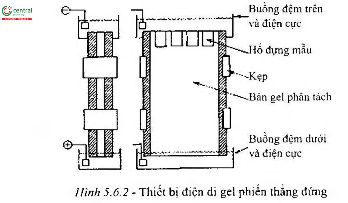 Hình 5.6.2