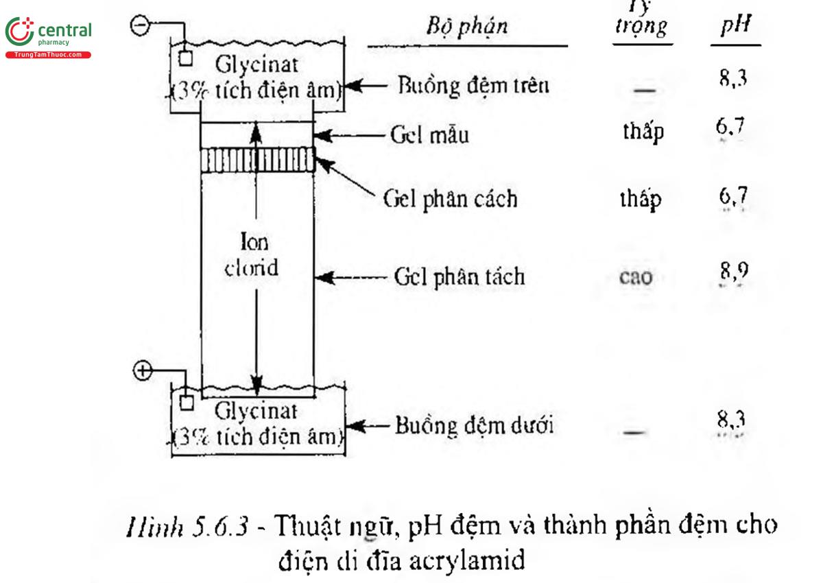 Hình 5.6.3