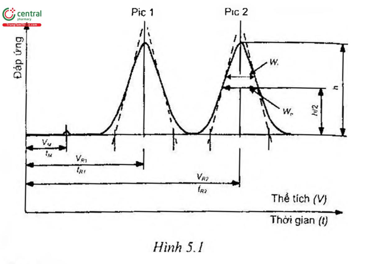 Hình 5.1