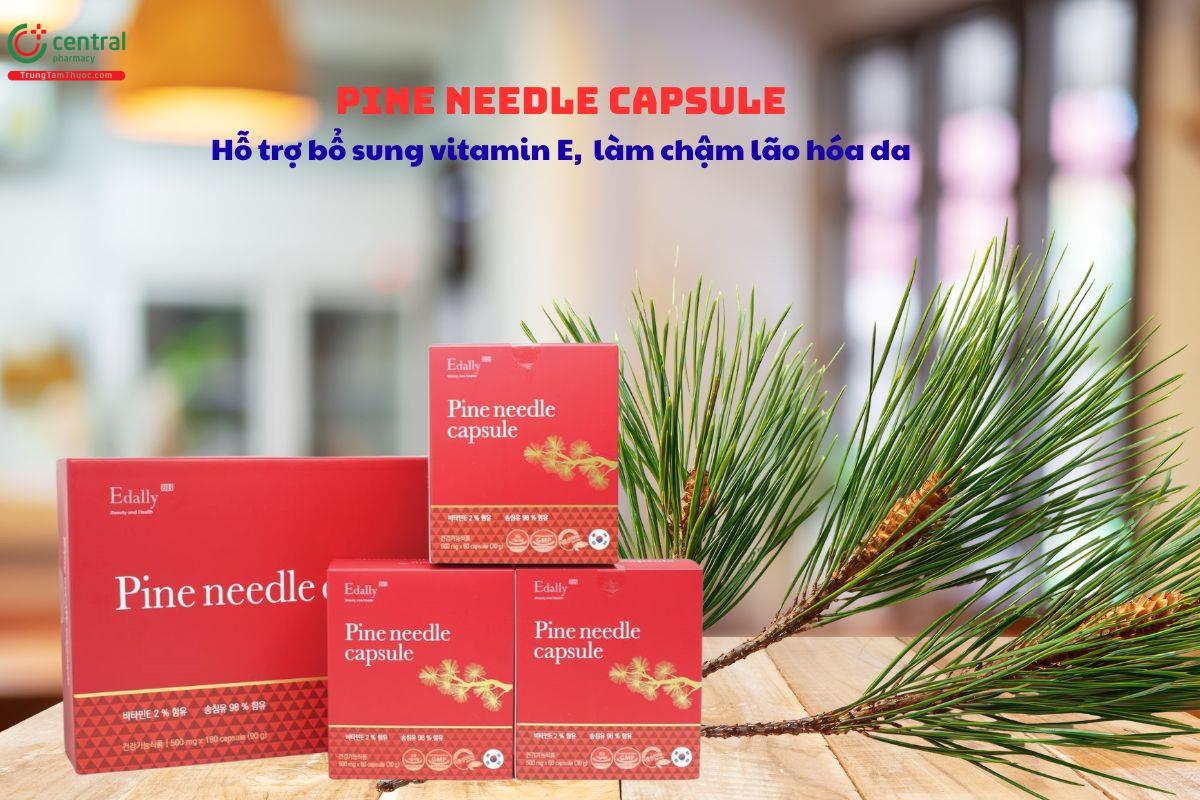 Pine Needle Capsule bổ sung vitamin E, giúp làm chậm lão hóa da