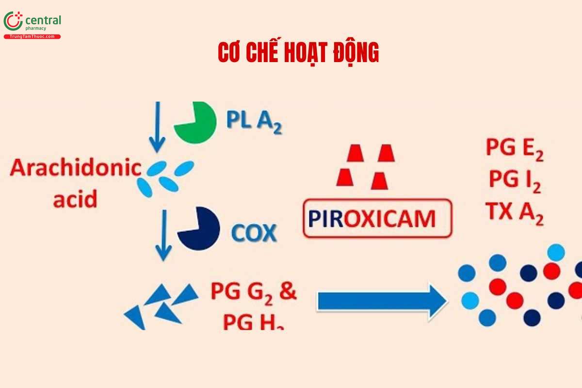 Cơ chế của Piroxicam