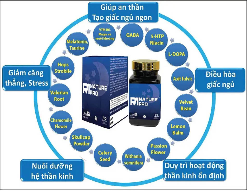 Hình 1: Thành phần của sản phẩm