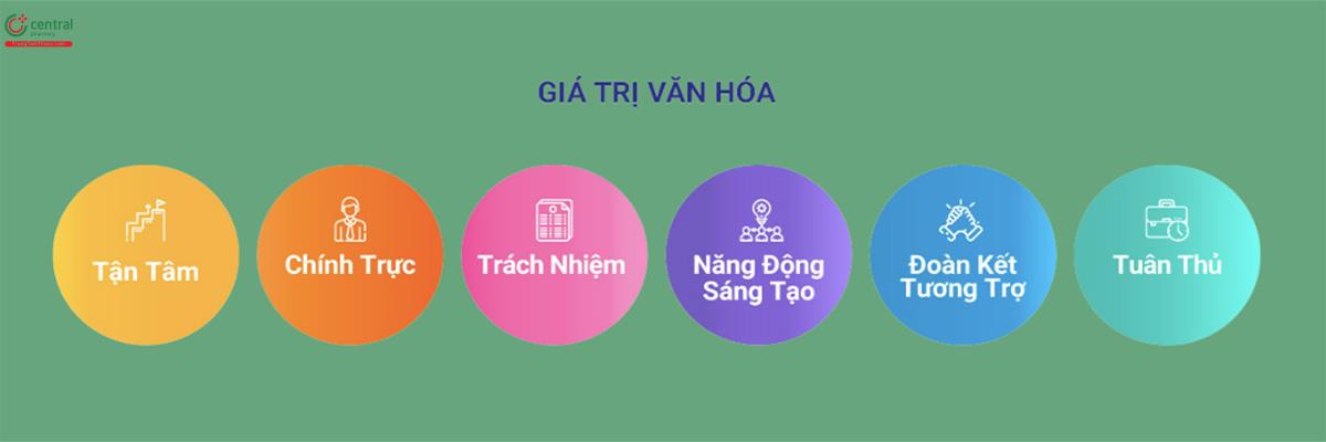 Hành trình phát triển của Poke USA