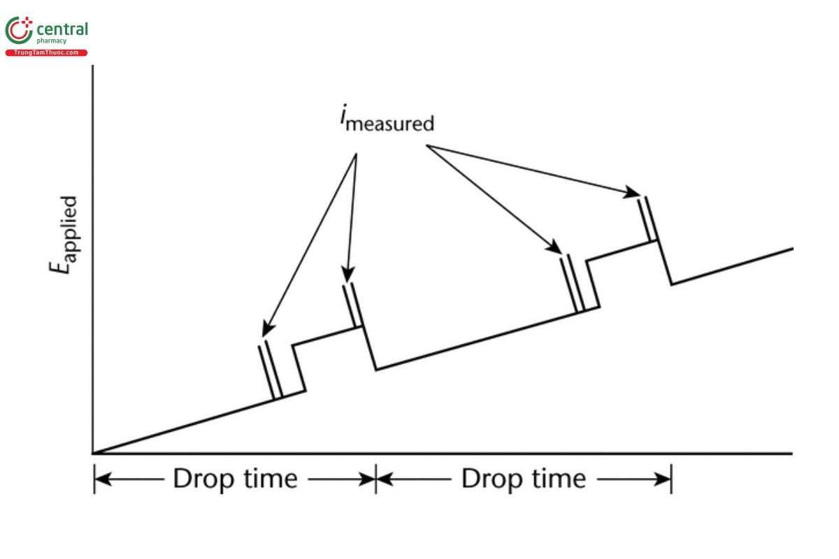 Fig. 5. Differential Pulse Polarography.