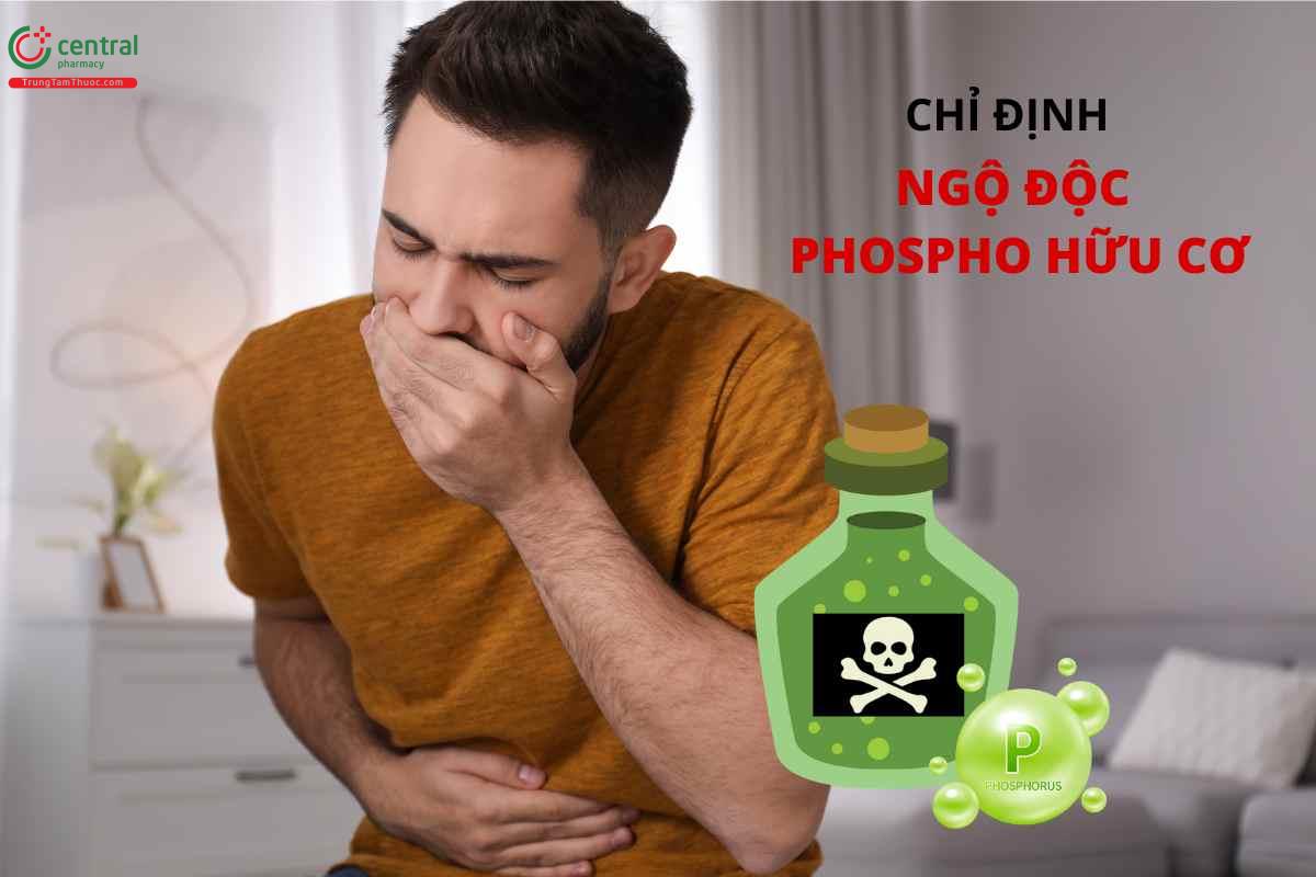 Chỉ định của Pralidoxime