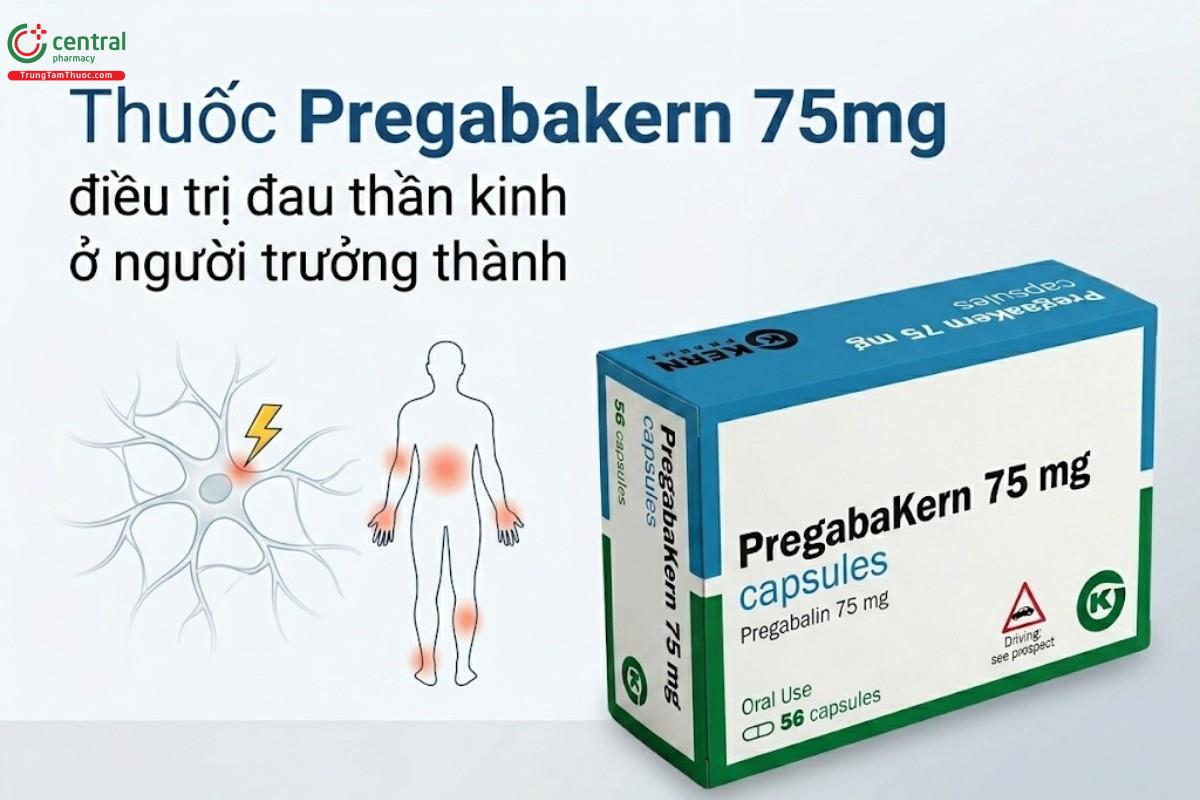 Thuốc Pregabakern 75mg điều trị đau thần kinh ở người trưởng thành