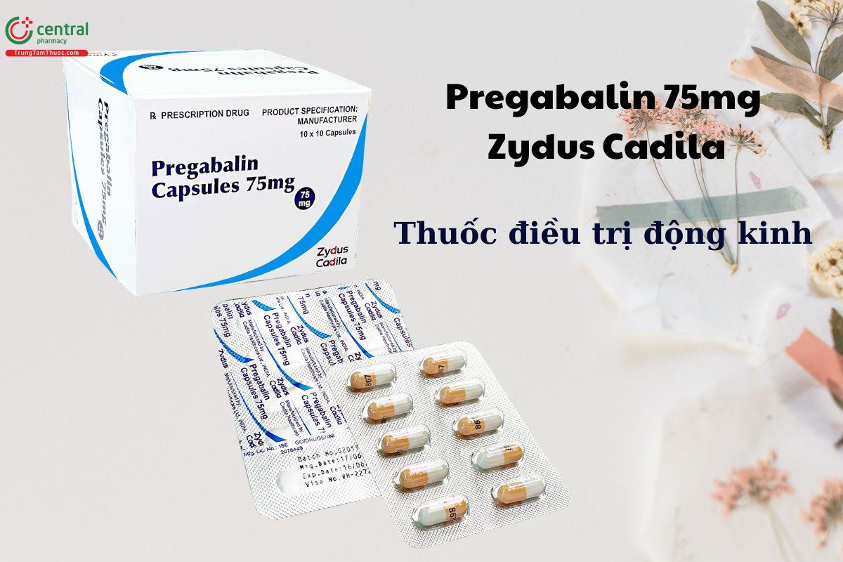 Thuốc Pregabalin 75mg Zydus Cadila trị động kinh, rối loạn lo âu, đau do thần kinh