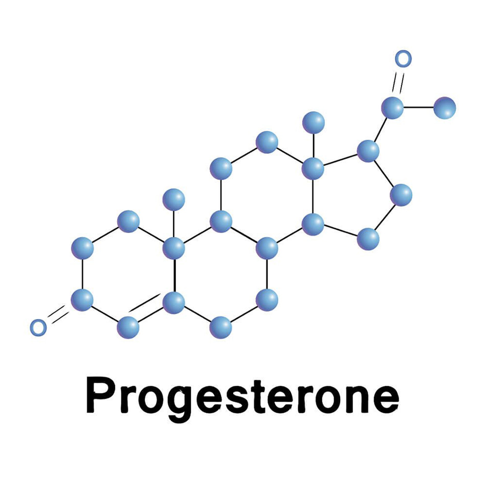 Hormon Progesterone