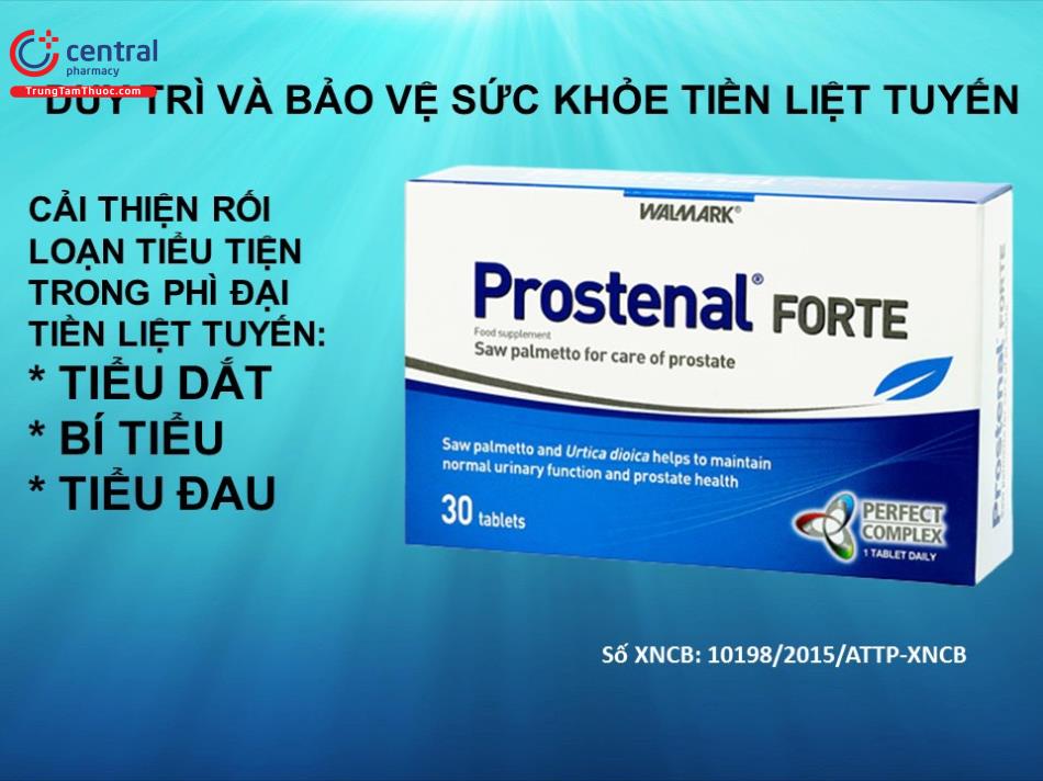 Hình 2: Tác dụng của Prostrnal Forte
