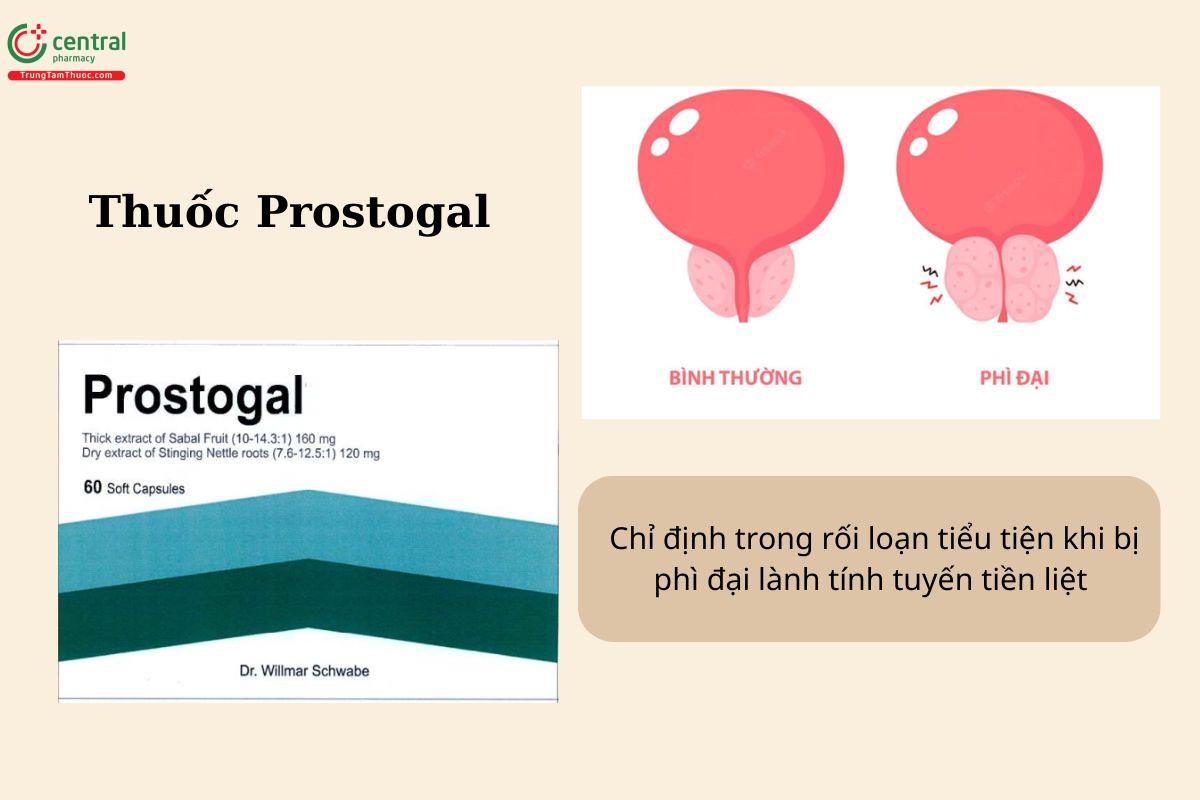 Chỉ định của thuốc Prostogal