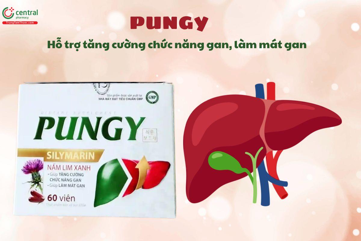 Pungy giúp mát gan, giải độc gan, tăng cường chức năng gan
